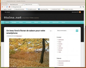 Capture d'écran du site http://blog.ttoine.net