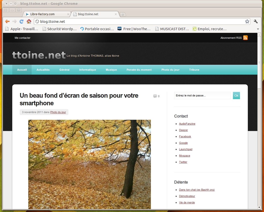 Capture d'écran du site http://blog.ttoine.net